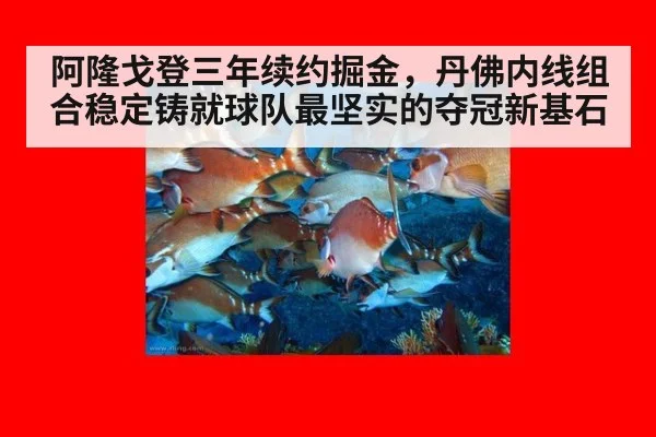 阿隆戈登三年续约掘金，丹佛内线组合稳定铸就球队最坚实的夺冠新基石