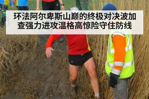环法阿尔卑斯山巅的终极对决波加查强力进攻温格高惊险守住防线